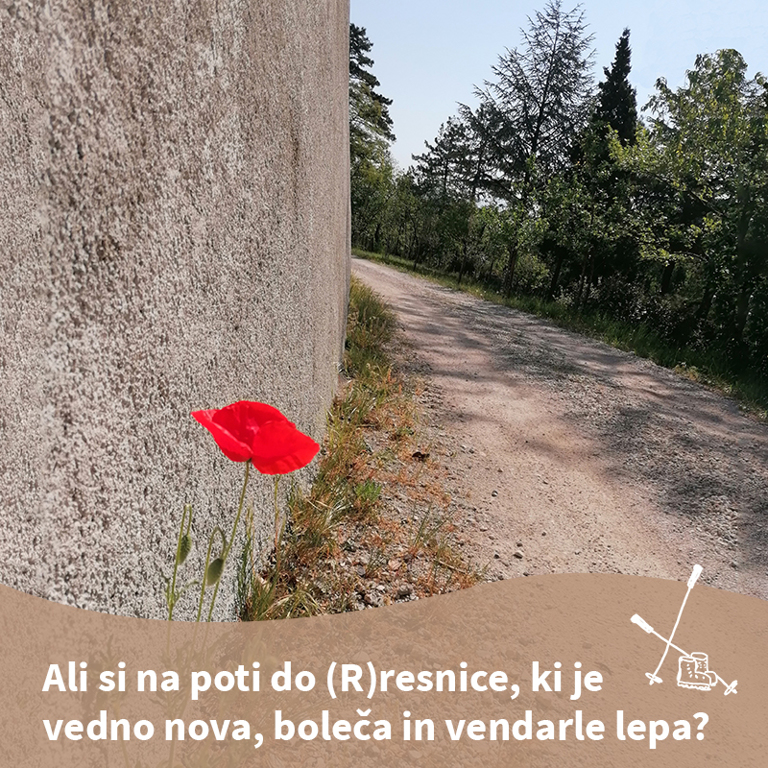 Pridiga