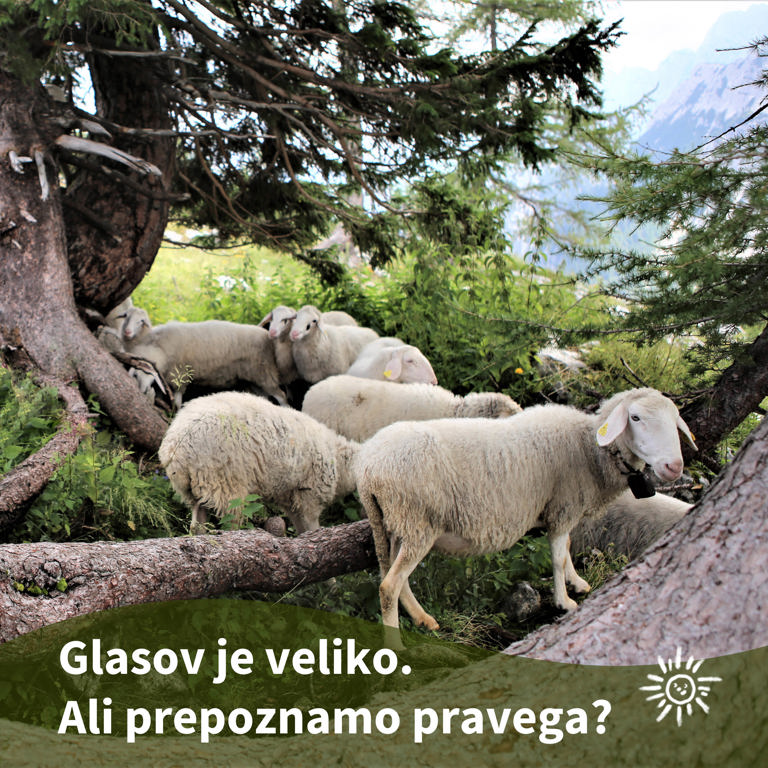 Pridiga