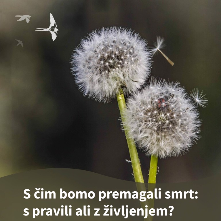 Pridiga