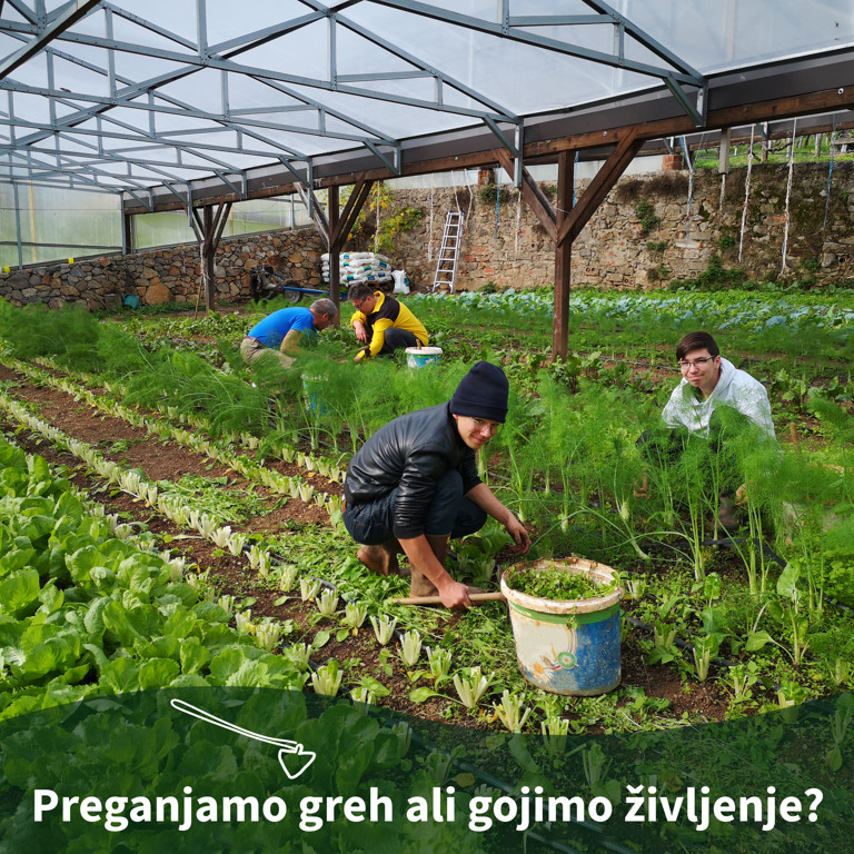 Pridiga