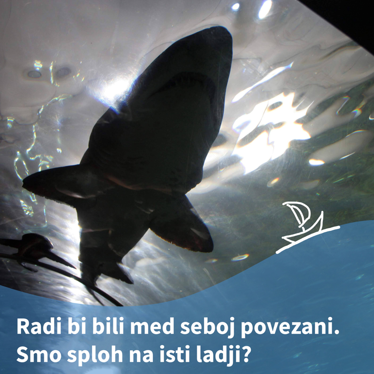 Pridiga
