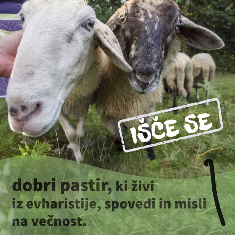 Pridiga