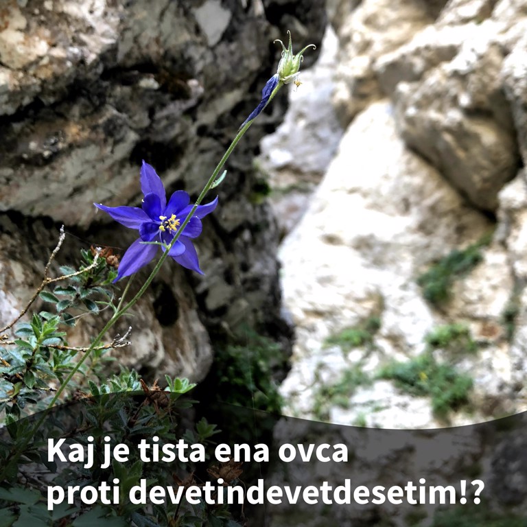 Pridiga