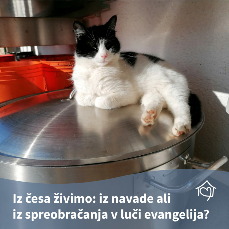 Pridiga