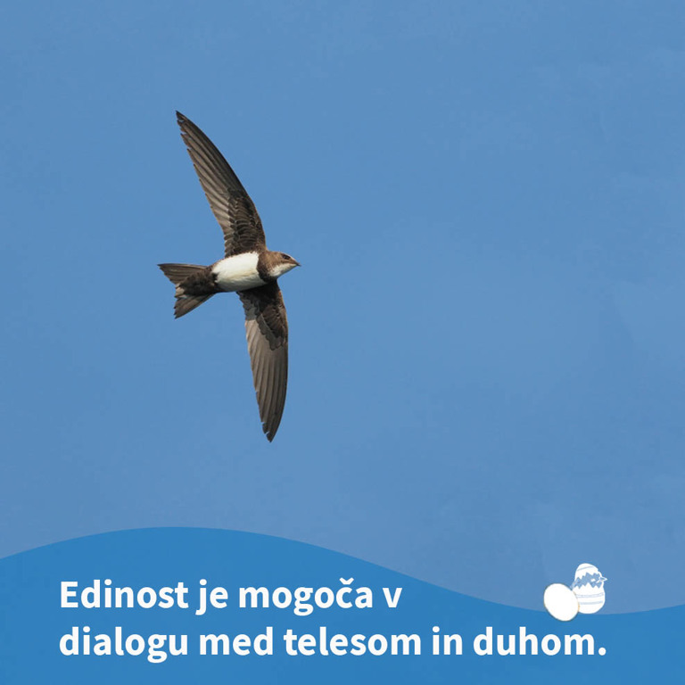 Pridiga