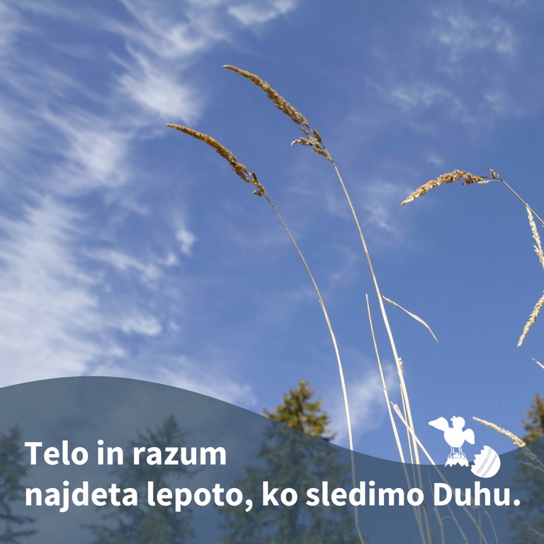 Pridiga