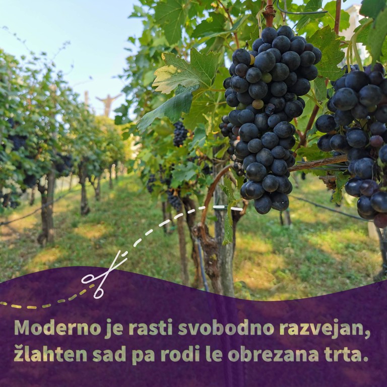 Pridiga