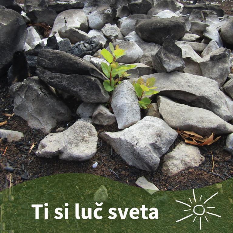 Pridiga