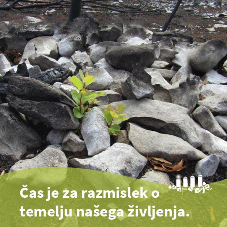 Pridiga