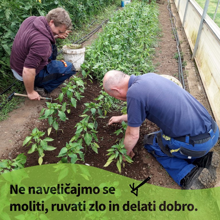 Pridiga