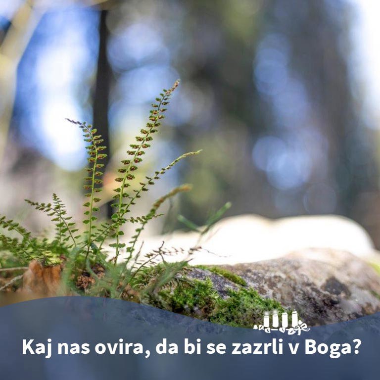 Pridiga
