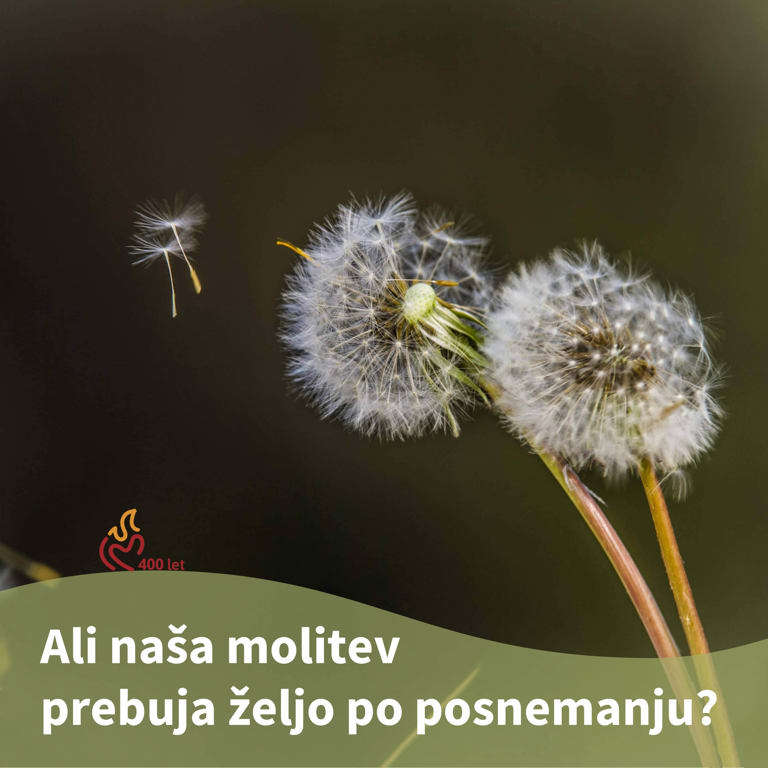 Pridiga